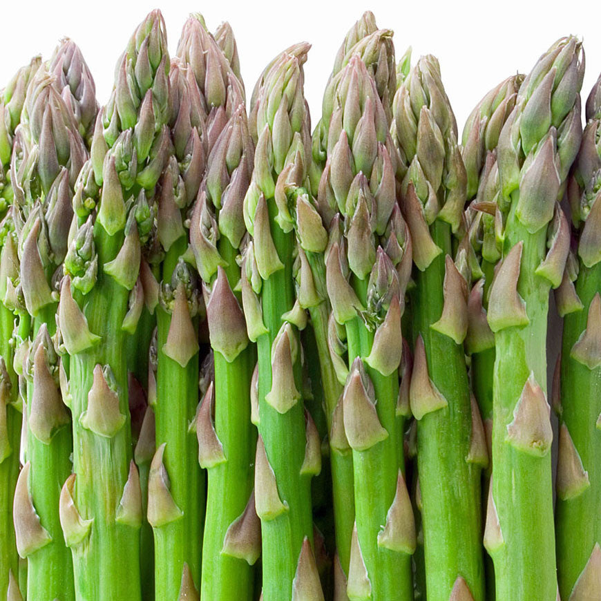 Asparagus