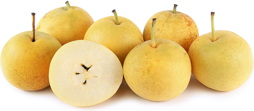 20th Century Asian Pear