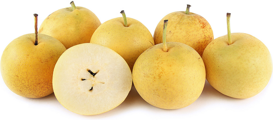 20th Century Asian Pear