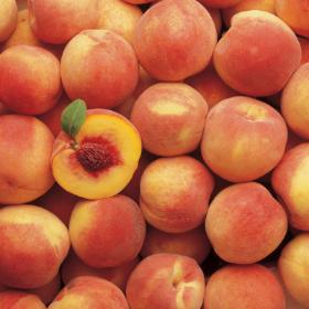 Hale Haven Peach