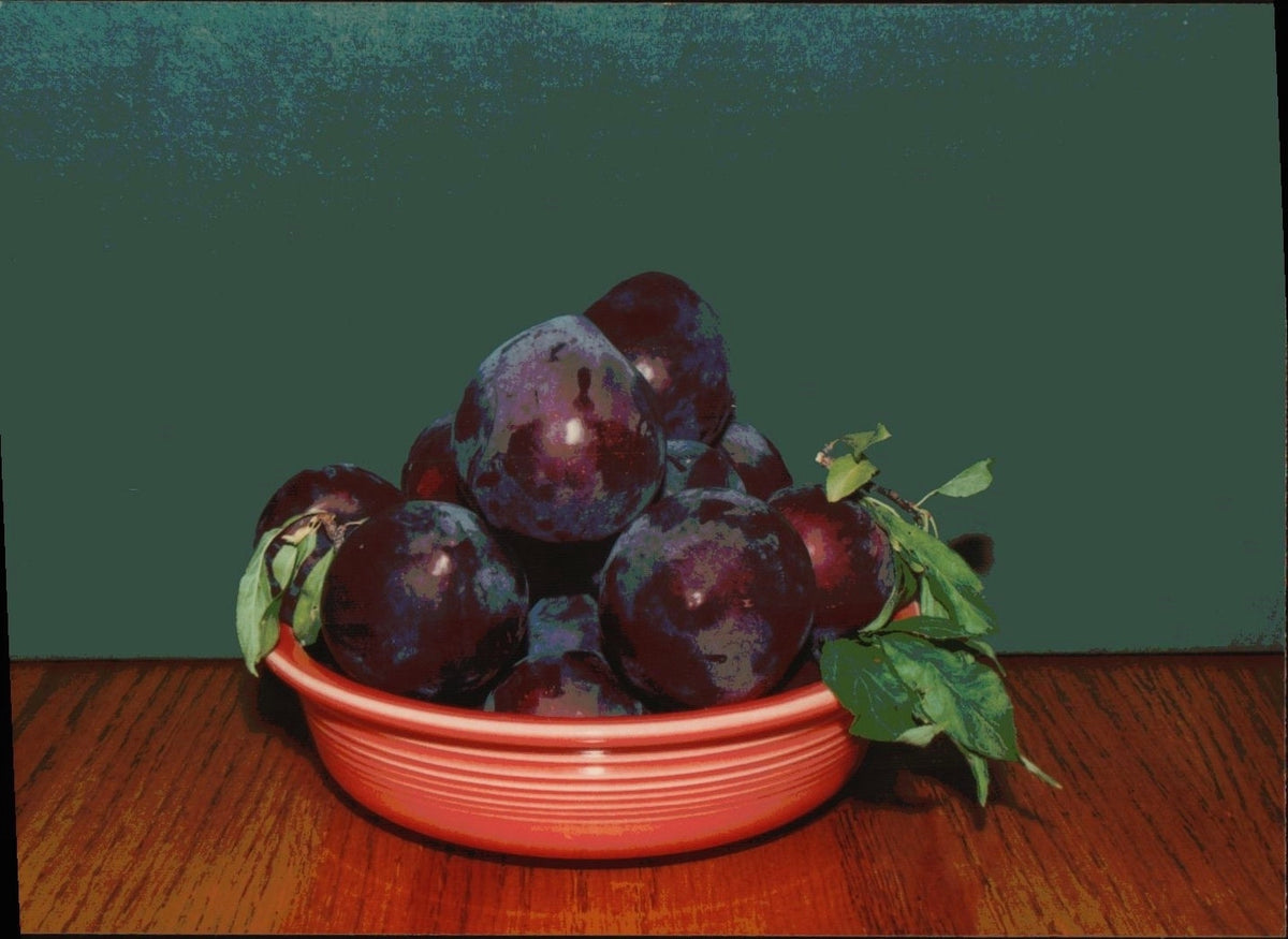Morris Plum