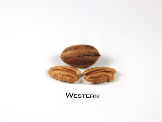 Western -(1)
