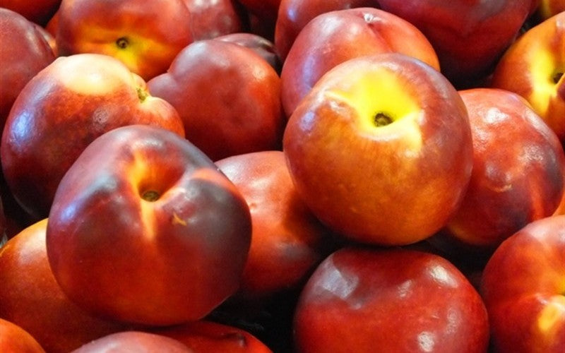 Nectarines