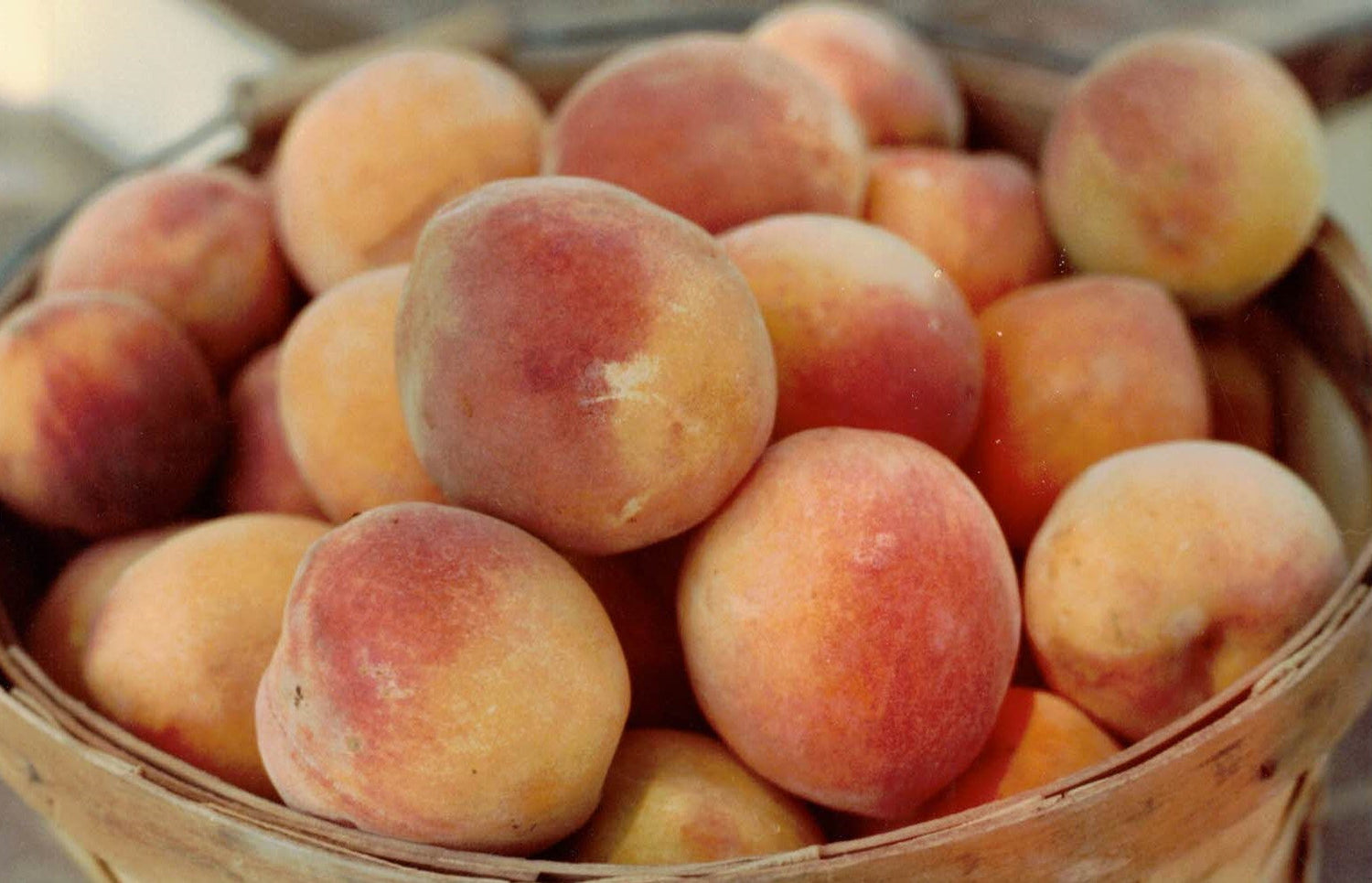 Peaches