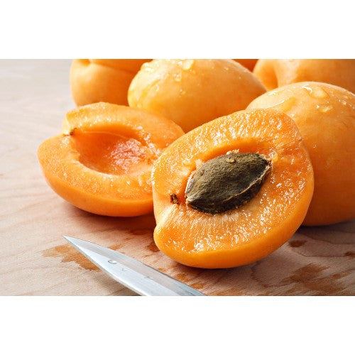 Apricots