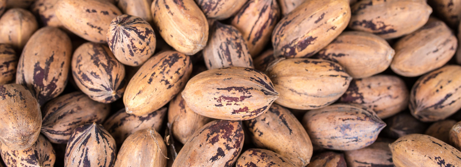 Pecans (Field Fresh Trees)