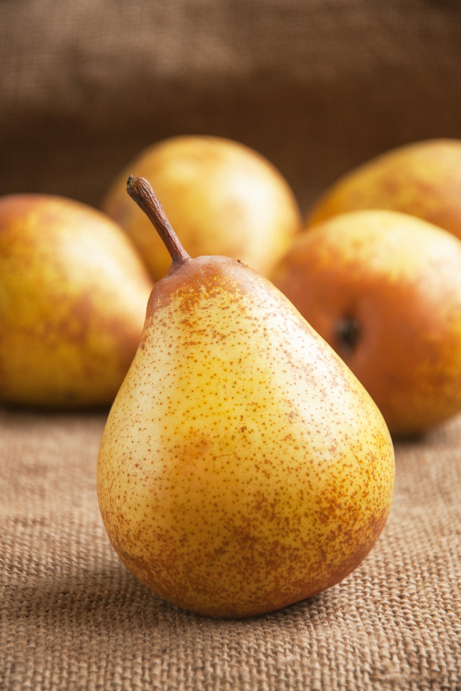 Pears