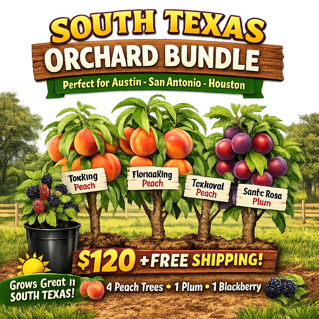 South Texas Fruit Special
