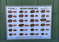 Pecan Variety Poster