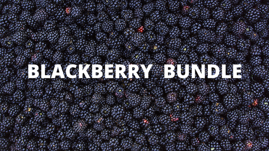 BLACKBERRY STARTER SPECIAL