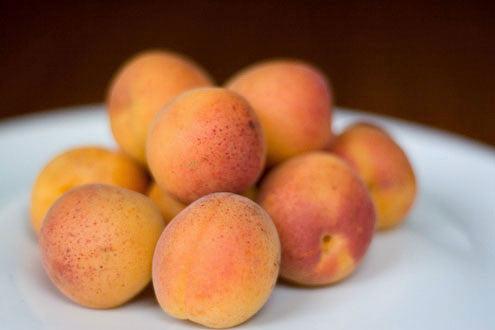 Blenheim Apricots