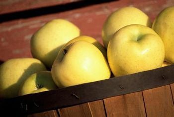 Dorsett Gold Apples