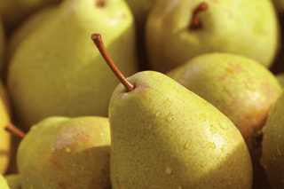 Orient Pear