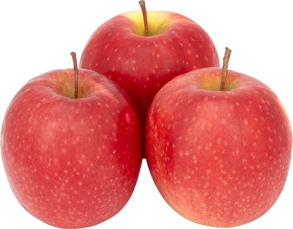 Pink Lady®Cripps Pink CV. Apples - Womack Nursery