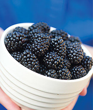 Rosborough Blackberries